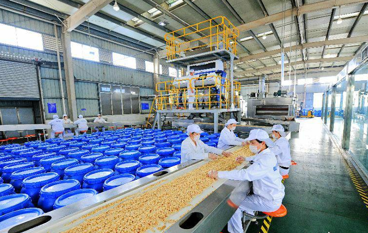 ****食品有限公司新建年加工15000吨花生项目
